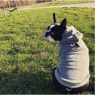 Sweater Licht Grijs - 'You had me at Woof'