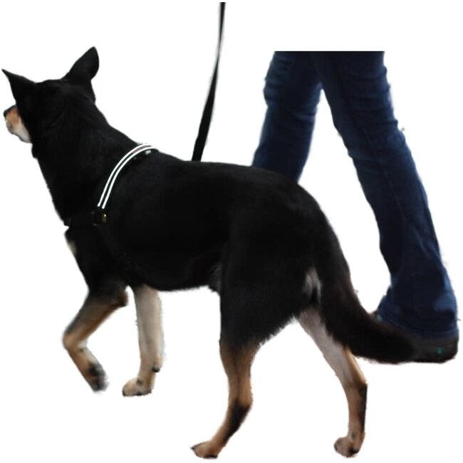 MaZter Anti-trektuig