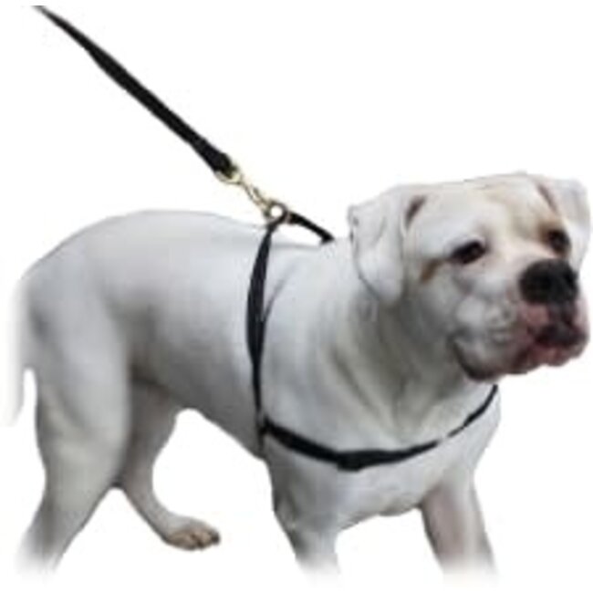 MaZter Anti-trektuig