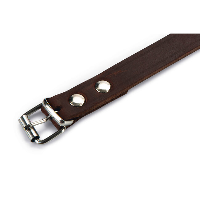 Halsband Bruin Leer