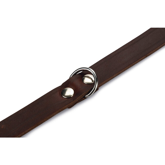 Halsband Bruin Leer