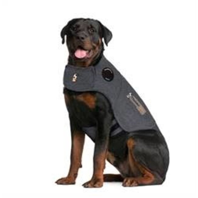 Thundershirt Hond