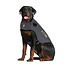 Thundershirt Hond