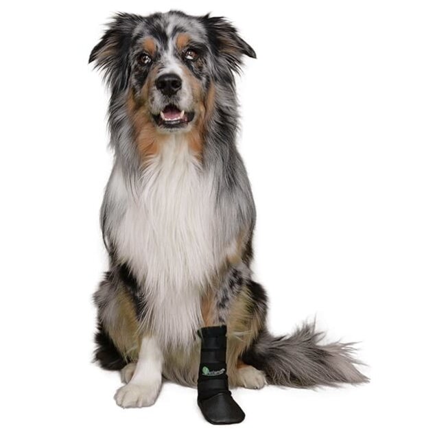 Vetlando Mediboot