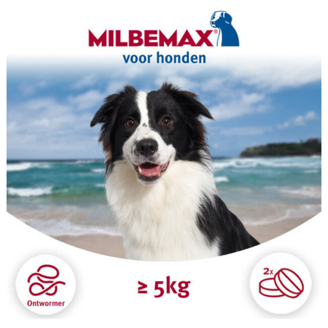 Milbemax Hond 5-75 KG (2 tabletten)