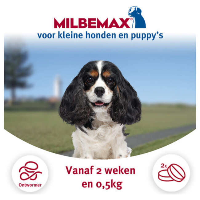 Milbemax Kleine hond en Pup (2 tabletten)
