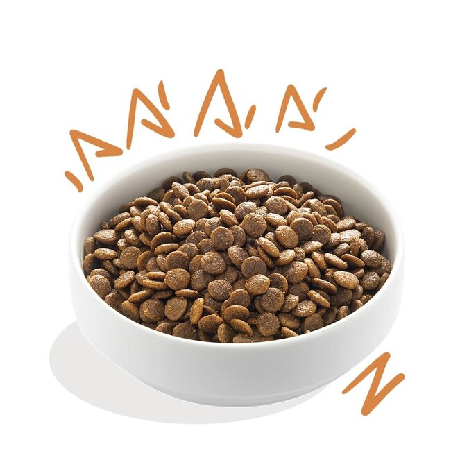 Edgar & Cooper Verse scharrelkip met mango, blauwe bes, appel en wortel