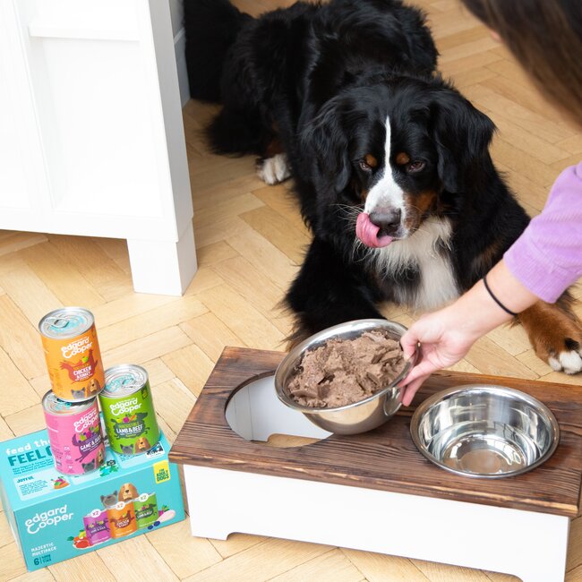 E&C  Multi-pack Blik Hond