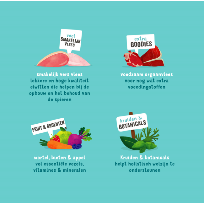 E&C  Multi-pack Blik Hond