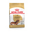Royal Canin Dachshund