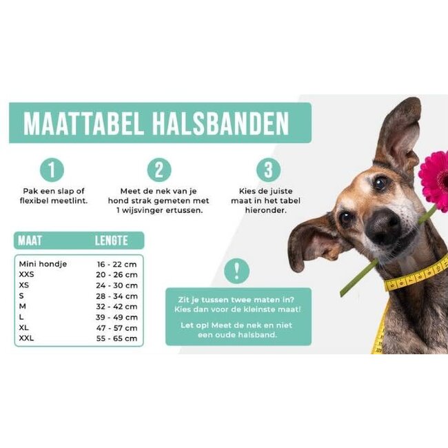 DWAM Halsband Boho Chica