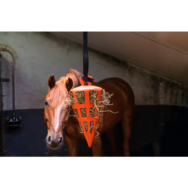 Hay Slow Feeder Wortel 22 cm Oranje