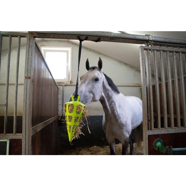 Hay Slow Feeder Wortel 22 cm Groen