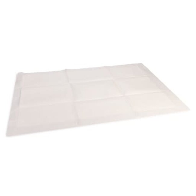 BZ Puppy Trainingsmat