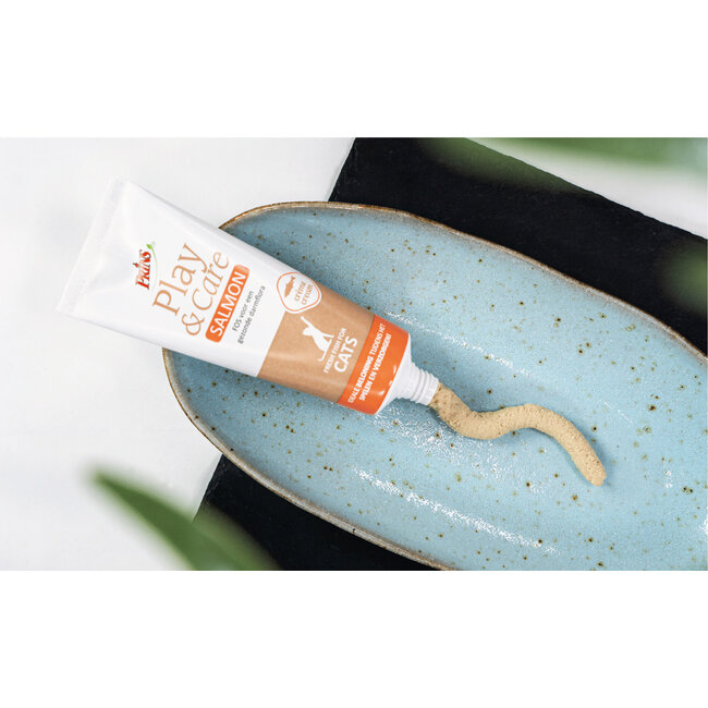 Prins Play & Care Cat Salmon