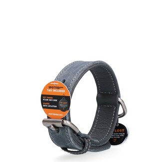 Spotted Pro Halsband Leer - Grijs