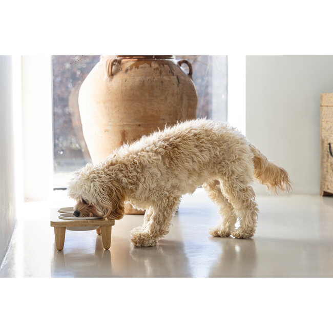 DBL Dinerset Djeha 40x21x15