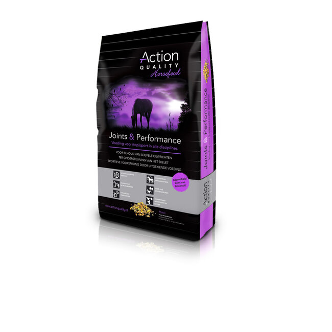 Action Quality Joints & Performance