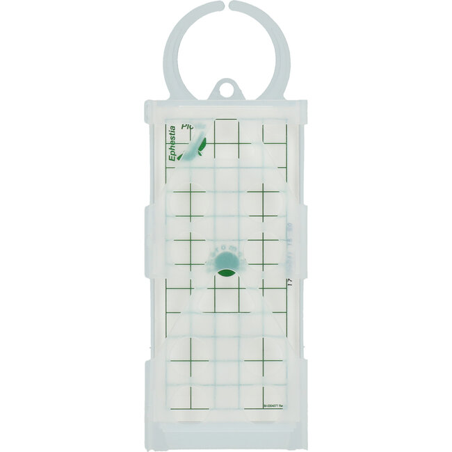 Knock Off Levensmiddelenmottenval Lijm