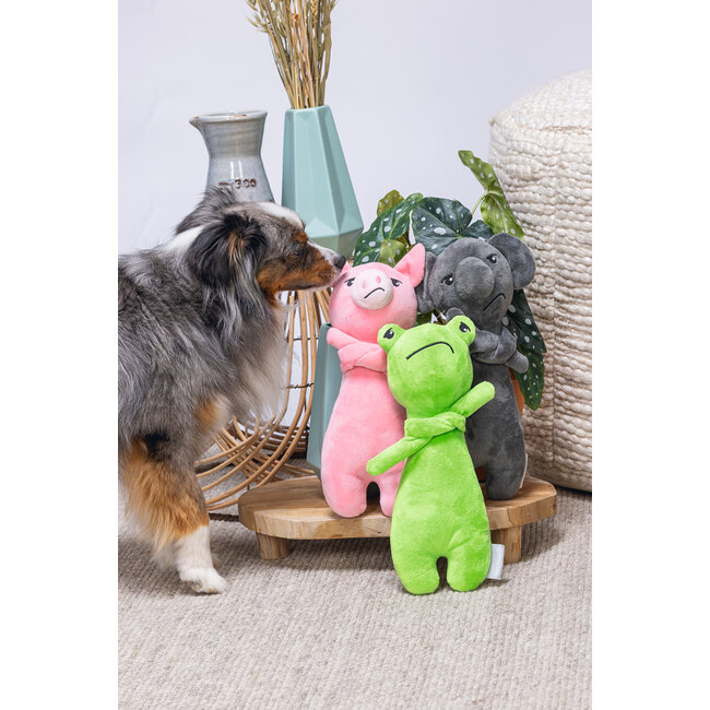 BZ Grumphy Froggy Groen