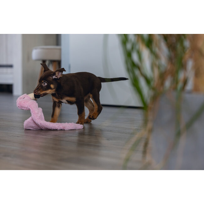 BZ Puppy Flatino Flamingo Roze 43