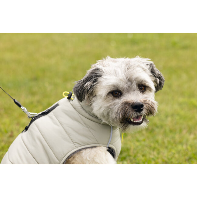 BZ Hondenjas Bobby Taupe