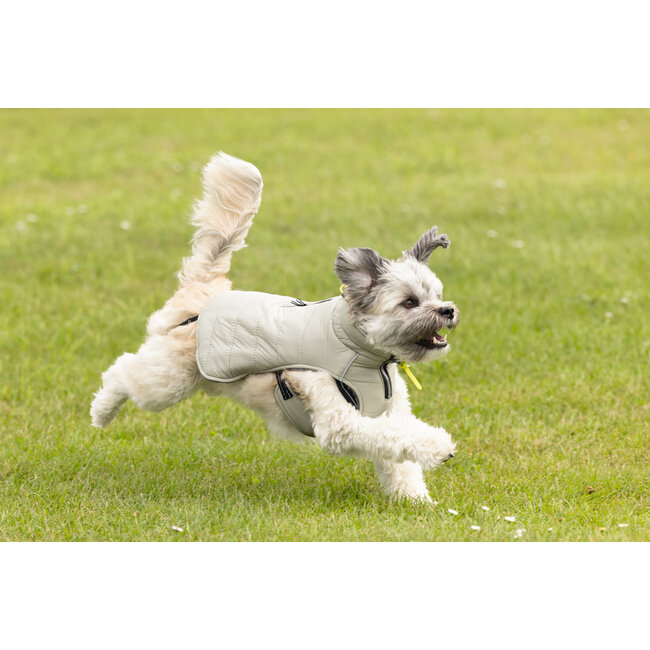 BZ Hondenjas Bobby Taupe