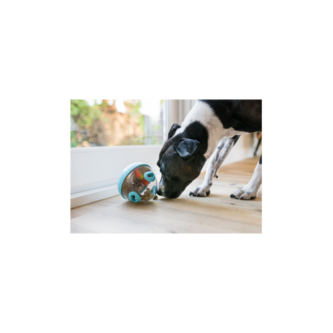 Wobble Ball Blue