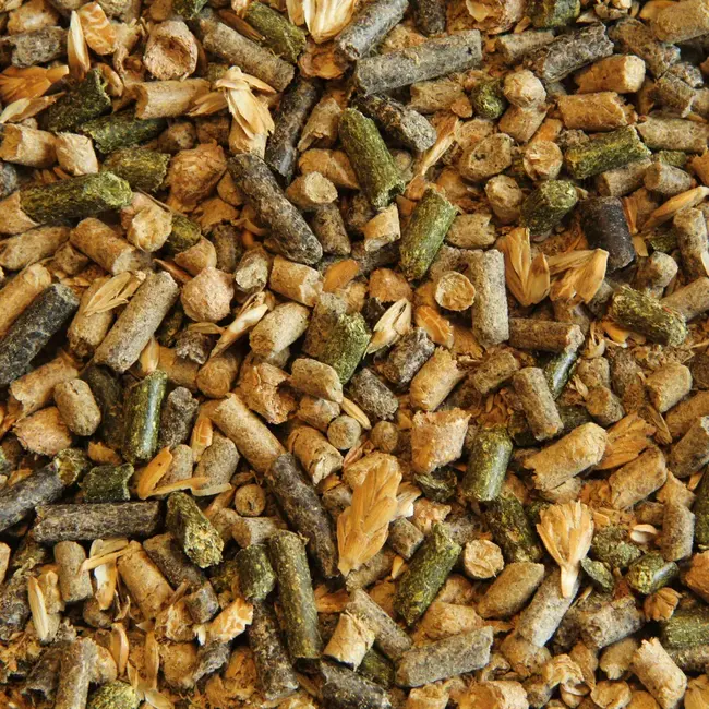 Subli Seniores Priores 20 KG