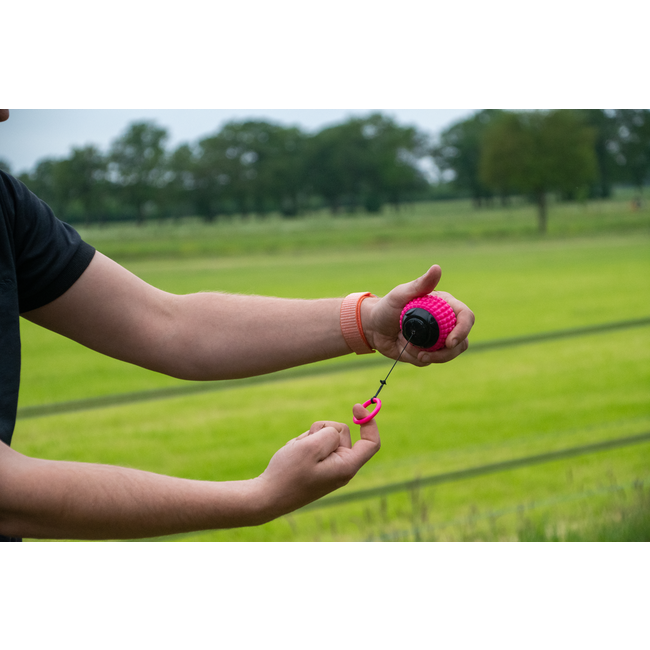 Dog Comets Blazar Groen