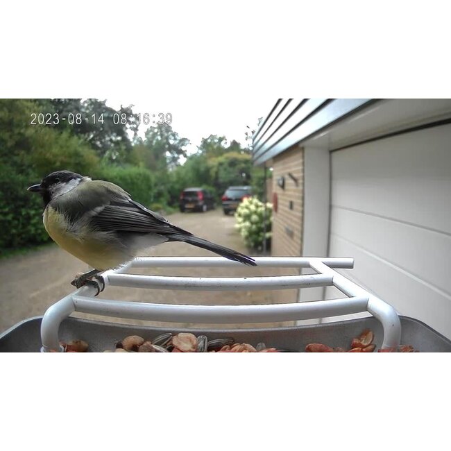 Auxco Smart Bird Feeder with camera