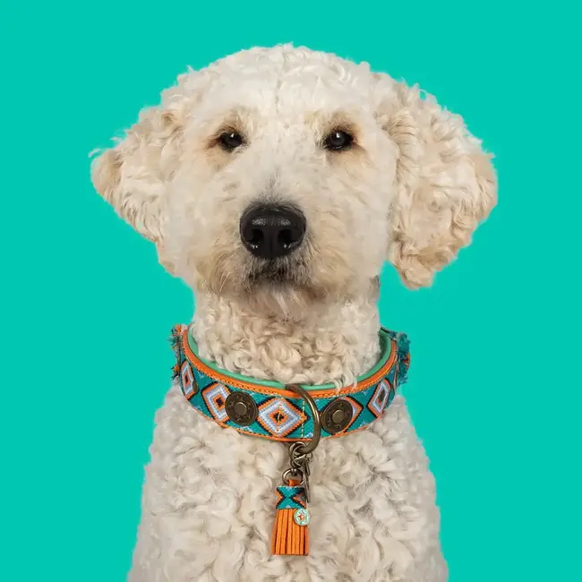 DWAM Halsband Morgan