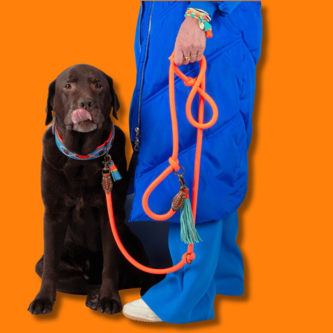 DWAM Classic Carrot Cake Hondenriem