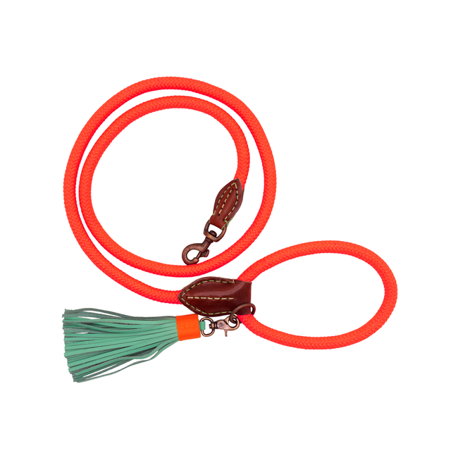 DWAM Classic Carrot Cake Hondenriem