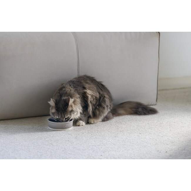 DBL Eetbak Joa Kat Grijs 12x12