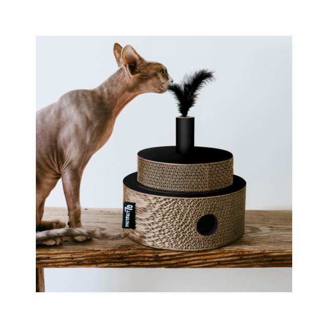 District 70 Fiesta Zwart