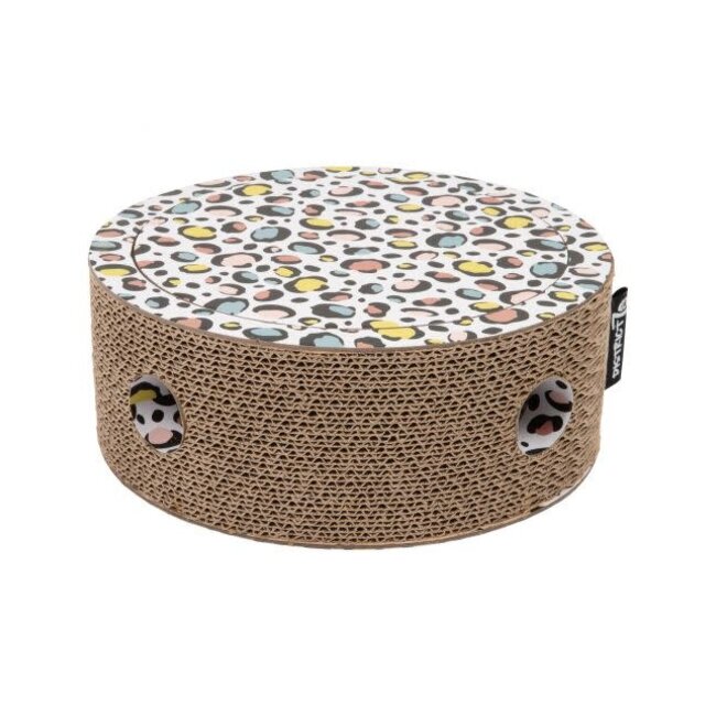 District 70 Fiesta Multi-color