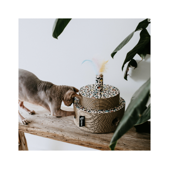 District 70 Fiesta Multi-color