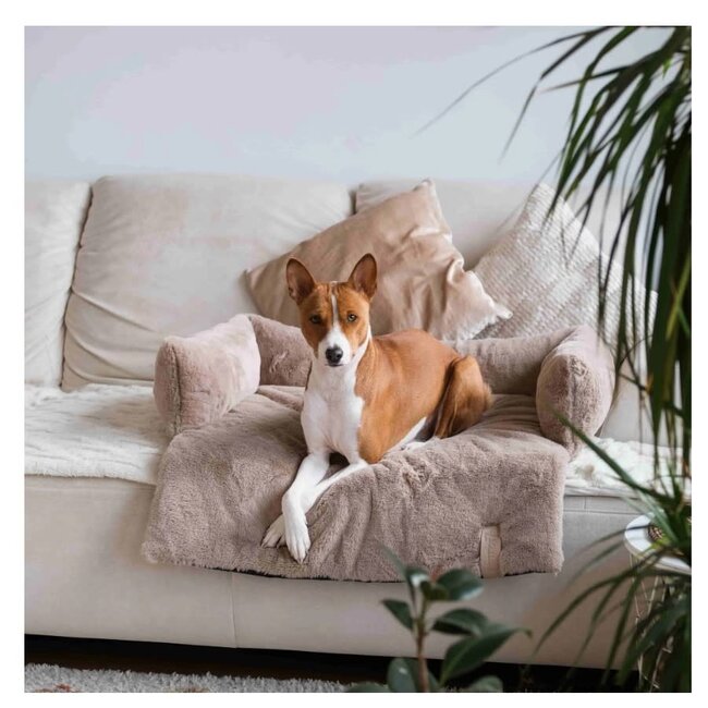 District 70 Nuzzle Taupe