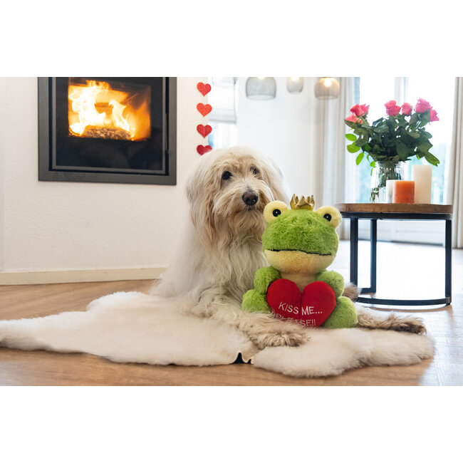 BZ pluche Kikker Valentijn