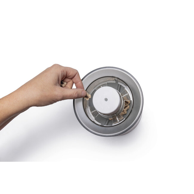 BZ Brain Game Delicious