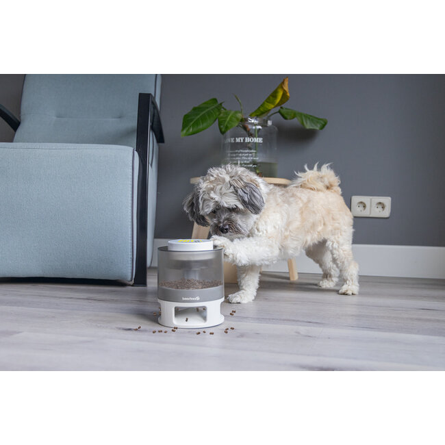 BZ Brain Game Delicious