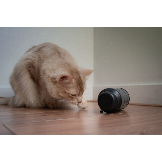 Eat Slow Live Longer Feed and Treat S Grijs