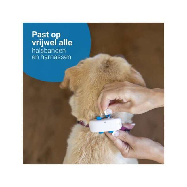 Tractive GPS Hondentracker Dog 4 - Wit
