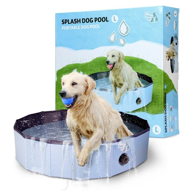 Splash Dog Pool