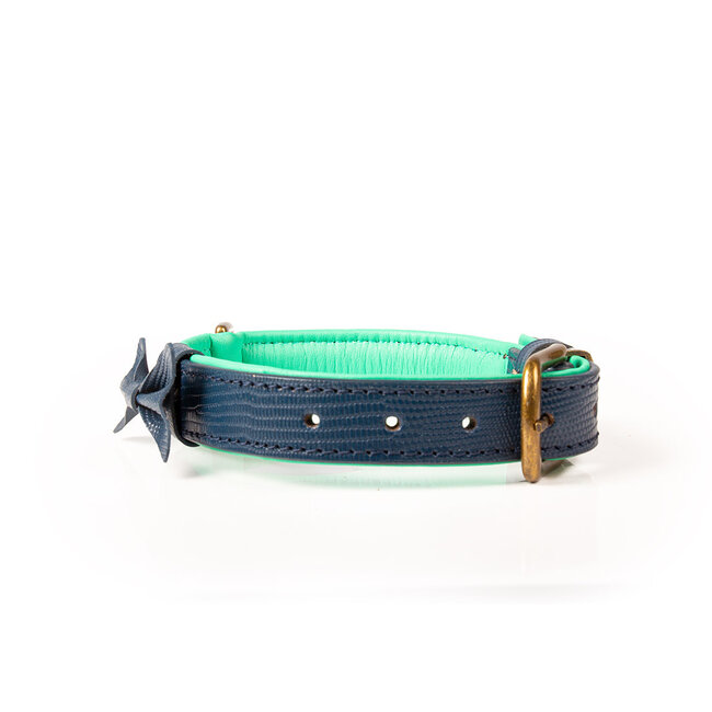 DWAM  Halsband Buster