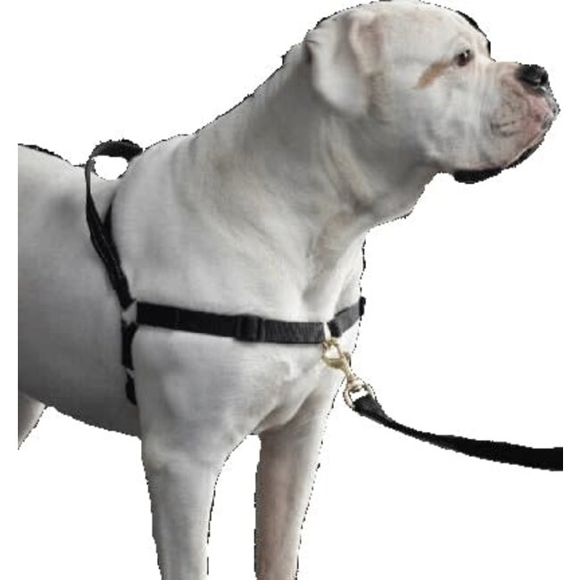 MaZter Anti-trektuig