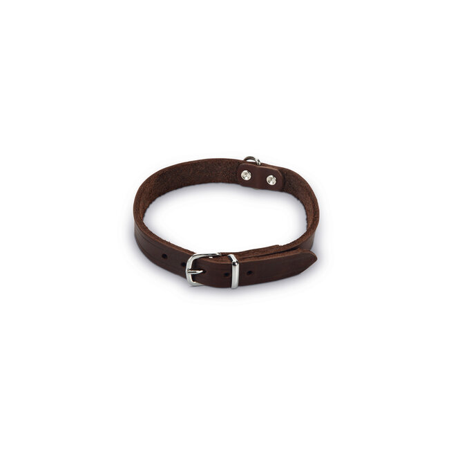 Halsband Bruin Leer