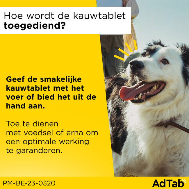 AdTab Hond 11 tot 22 KG