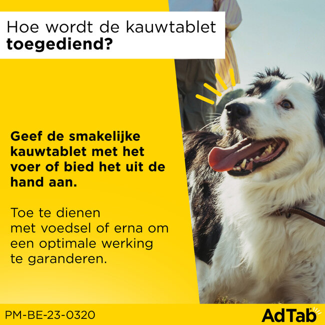 AdTab Hond 22 tot 45 KG
